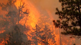 Minnesota Governor authorizes sending 29 Minnesota firefighters, 9 trucks to Oregon wildfires