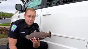 Eagan Police to use bait cars to help nab catalytic converter thieves