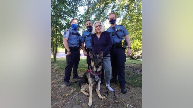 Earnest, missing therapy dog in training, found safe in St. Paul