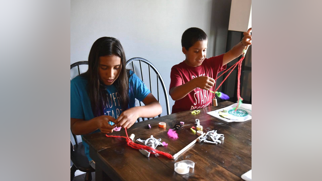 Craft kit from Ruff Start Rescue helps bring toys to homeless animals in Minnesota