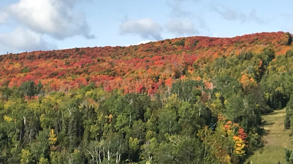 fall color minnesota