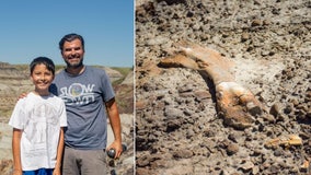 12-year-old boy finds 69 million-year-old dinosaur fossil during hike with his dad