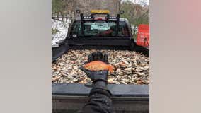 Water management officials remove 50k goldfish from Chaska lake