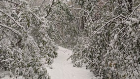 First Day Hikes in MN happening across 10 state parks on Jan. 1