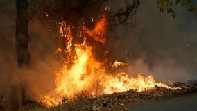 Red Flag Warning issued for southwestern Minnesota due to dangerous fire conditions