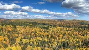 Half of Minnesota at peak fall color, DNR says