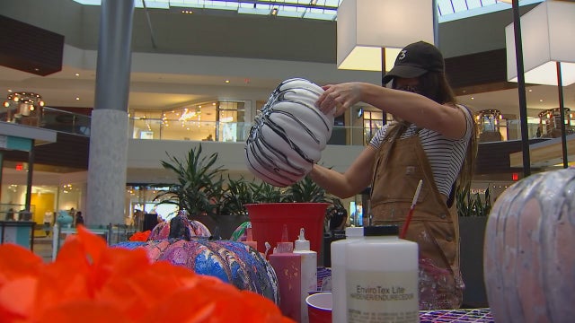 Artist paints pumpkins at Ridgedale Center to support breast cancer charity