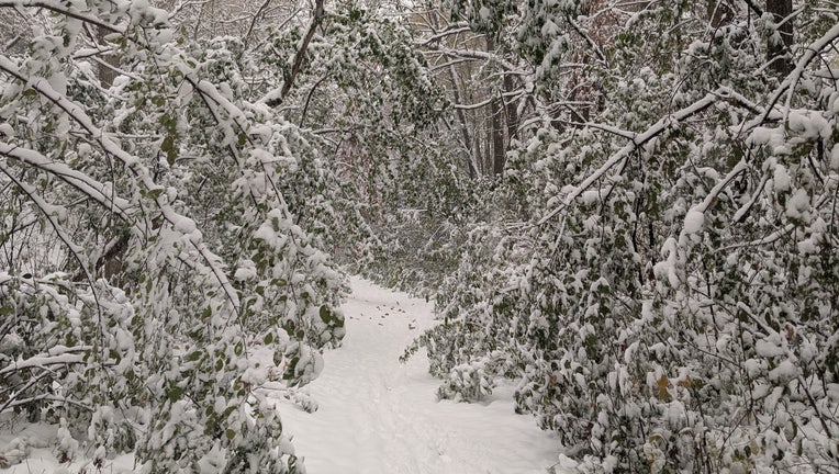 snow on Eden Prairie trail