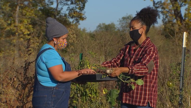 woman tends to farm