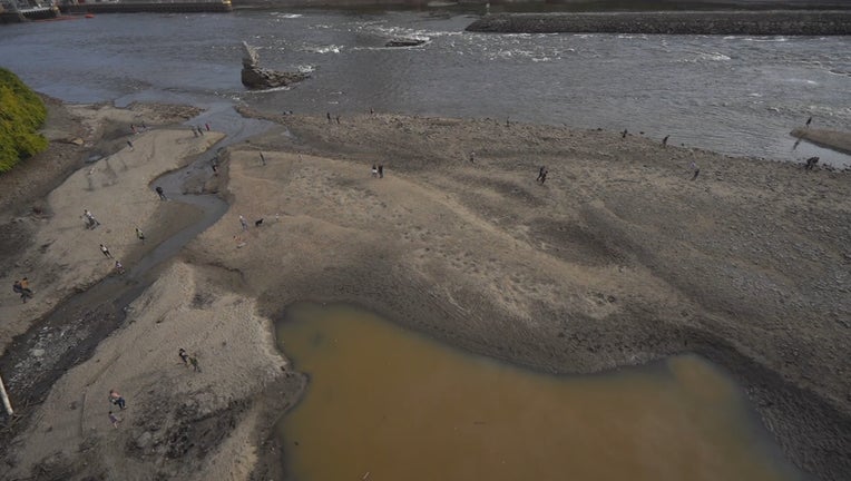 Rare lowered water levels on Mississippi River draws the curious