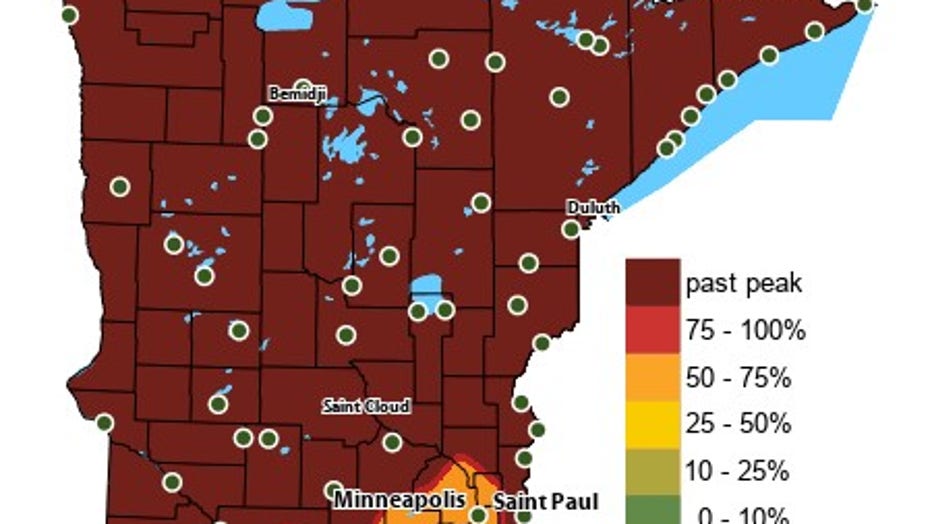DNR: Most of Minnesota passes peak fall colors  FOX 9 Minneapolis-St. Paul