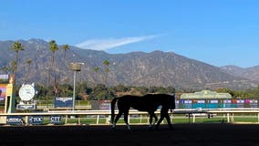 2-year-old colt fatally injured in race at Santa Anita