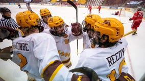 Gophers men's hockey to face St. Thomas Jan. 2 at Doug Woog Arena