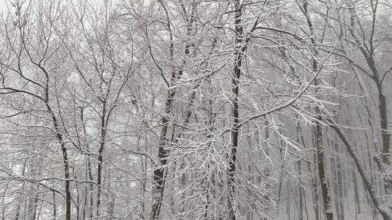 Strong winds, snow trigger blizzard warning for Twin Cities metro area
