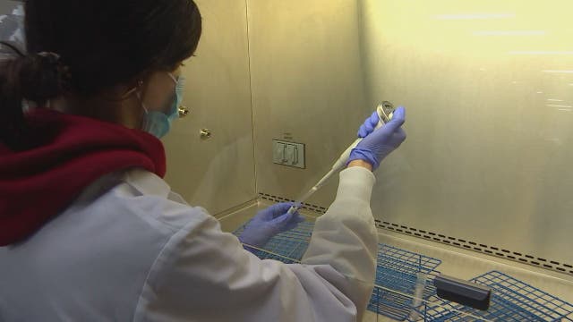 Lab techs grapple with supply, staffing shortages amid increased COVID-19 testing