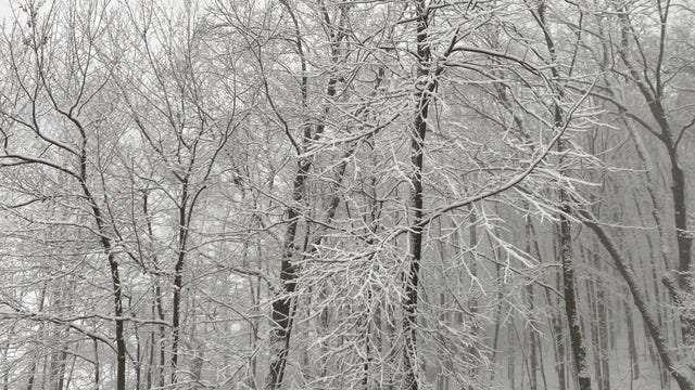 Strong winds, snow trigger blizzard warning for Twin Cities metro area