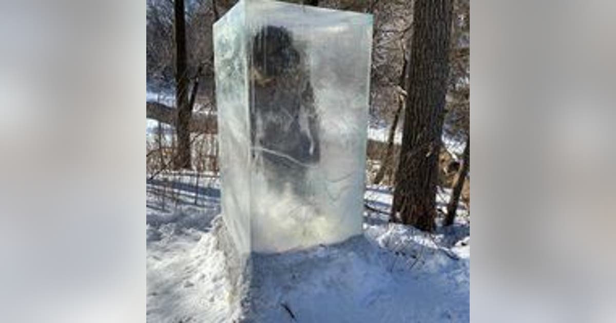 極希少/メロハー,AOR◆CHRIS IRVINE/FROZEN S Frozen caveman sculpture appears on Minneapolis trail | FOX 9