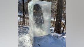 Frozen caveman sculpture appears on Minneapolis trail