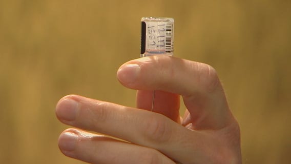 Minnesota reports 150 new COVID-19 cases, 8 more deaths Wednesday