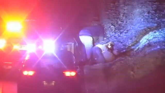 Good Samaritan stops to help trooper being assaulted during traffic stop