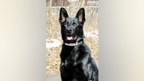 Anoka Police K-9 continues recovery after bullet struck trachea