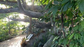 For some, business heats up when the weather gets cold