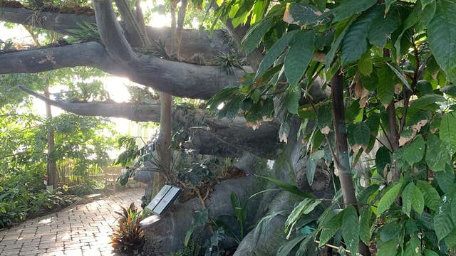 For some, business heats up when the weather gets cold