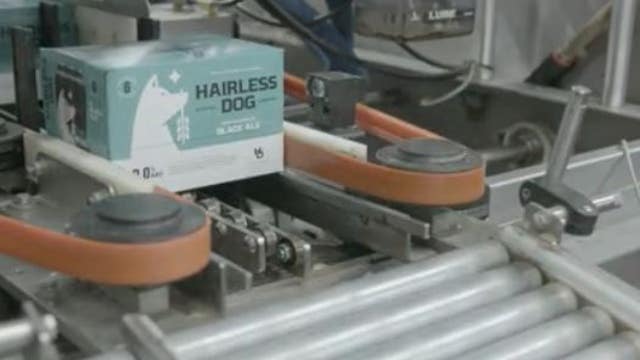 Minnesota-based Hairless Dog beer capitalizes on sober curiosity