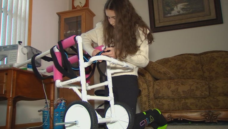 Dog wheelchair