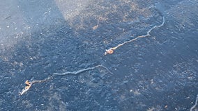 Earthworms leave ice tunnels on pavement in Plymouth