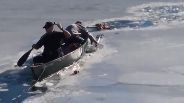Town comes together to save dog from frozen pond