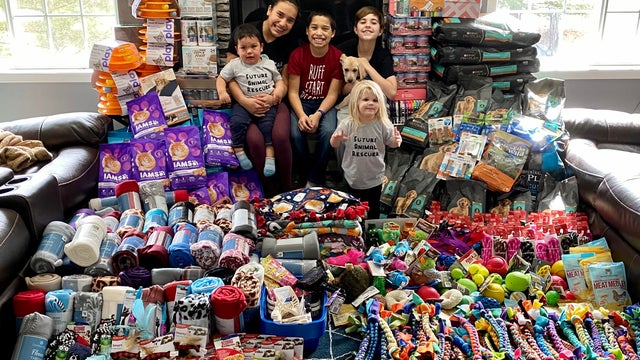 Minnesota kids collect more than 600 pounds of food for pets at rescue shelter