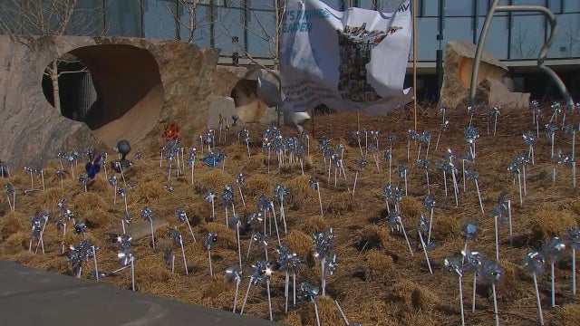 Vivian's Garden: Families plant pinwheels at U of M to raise awareness of CMV