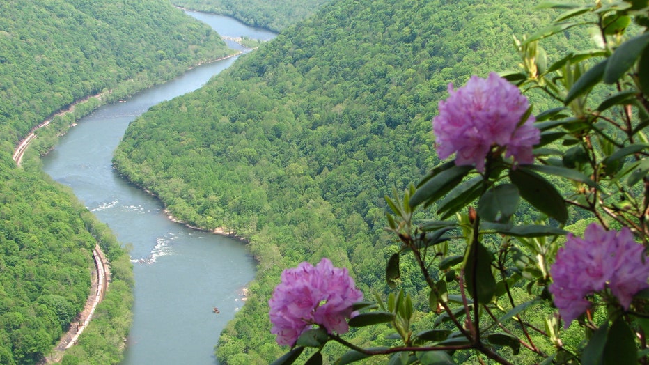 New River Gorge National Park is wild and wonderful - Farm and Dairy