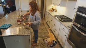 Minnesota teen launches dog treat business over pandemic