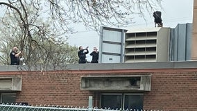 Firefighters help get suspect down after man climbs on roof to evade Bloomington police