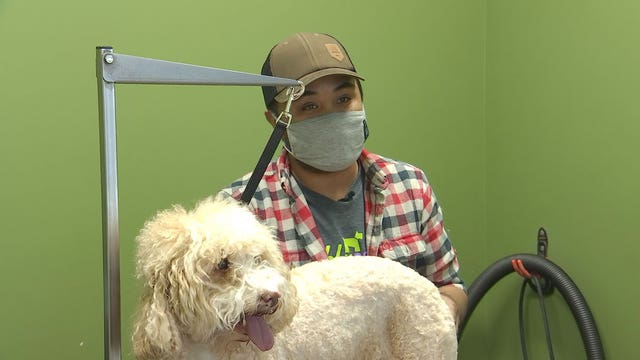 Twin Cities area dog groomers overwhelmed, some backed up 10 weeks