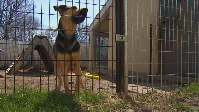 City of St. James moves to evict Watonwan County Humane Society