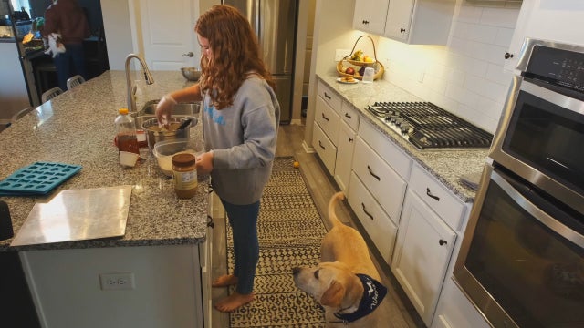 Minnesota teen launches dog treat business over pandemic