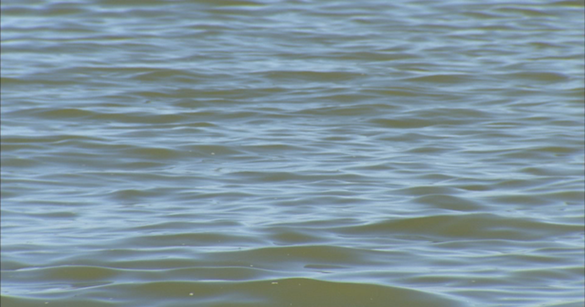 Body Recovered After Swimming Incident in Cannon