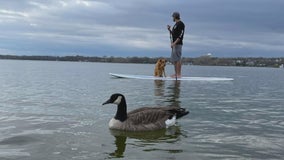 Minnesota family hopes to get back pet goose from wildlife officials