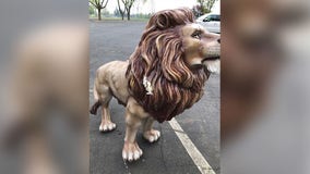 Lion statue at Shakopee splash pad vandalized, reward offered