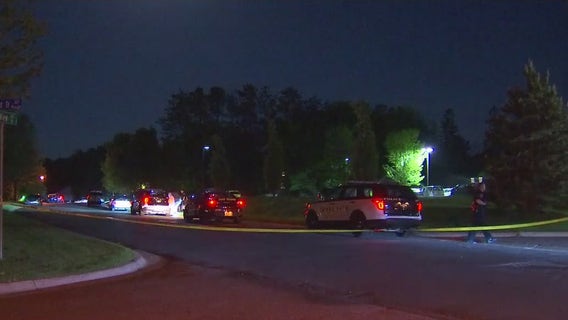 Charges: Daughter, 5, dies from injuries from Woodbury mother’s assault