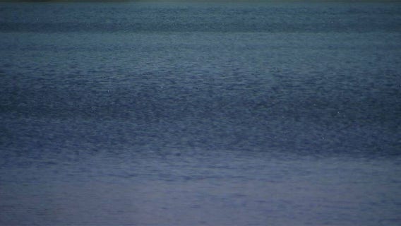 Grandfather dies while trying to save grandchildren struggling to swim