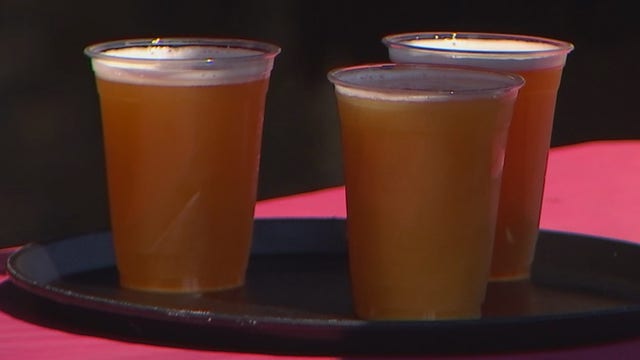 4 Minnesota breweries score medals at Great American Beer Festival