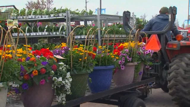 Why you may want to wait until after Mother's Day to plant