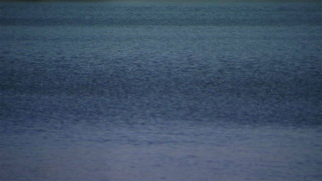 Bass fisherman finds submerged truck with body inside in Chisago County lake