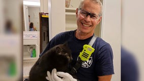 Richfield firefighters rescue cat trapped under dishwasher