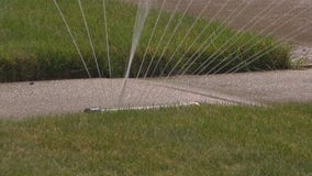 More cities implement watering bans as drought conditions worsen across Minnesota
