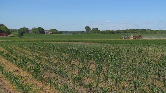 Minnesota farmer sentenced to prison for USDA loan fraud